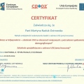 Powiększ obraz: certificate 1
