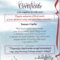 Powiększ obraz: certificate 35