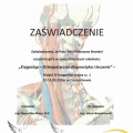 Powiększ obraz: certificate 9
