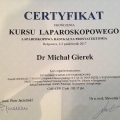 Powiększ obraz: certificate 4