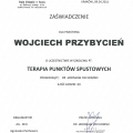 Powiększ obraz: certificate 12