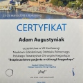 Powiększ obraz: certificate 12
