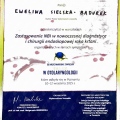 Powiększ obraz: certificate 10