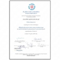 Powiększ obraz: certificate 28