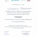 Powiększ obraz: certificate 7
