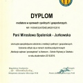 Powiększ obraz: certificate 6