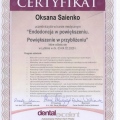 Powiększ obraz: certificate 9