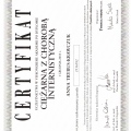 Powiększ obraz: certificate 8