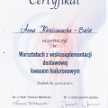 Powiększ obraz: certificate 14