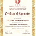 Powiększ obraz: certificate 6