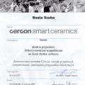 Powiększ obraz: certificate 2