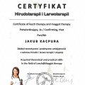 Powiększ obraz: certificate 9