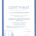 Powiększ obraz: certificate 6