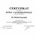 Powiększ obraz: certificate 7