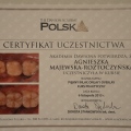 Powiększ obraz: certificate 2