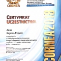 Powiększ obraz: certificate 11