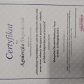 Powiększ obraz: certificate 6