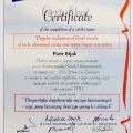 Powiększ obraz: certificate 4