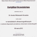 Powiększ obraz: certificate 11