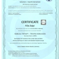 Powiększ obraz: certificate 7