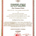 Powiększ obraz: certificate 6