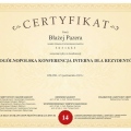 Powiększ obraz: certificate 3