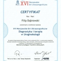 Powiększ obraz: certificate 11