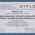 Powiększ obraz: certificate 11