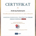 Powiększ obraz: certificate 30
