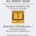 Powiększ obraz: certificate 7