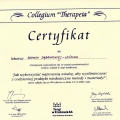 Powiększ obraz: certificate 31