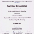 Powiększ obraz: certificate 20