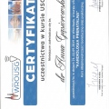 Powiększ obraz: certificate 1