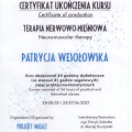 Powiększ obraz: certificate 1
