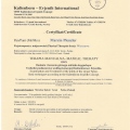 Powiększ obraz: certificate 11
