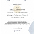 Powiększ obraz: certificate 6