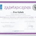 Powiększ obraz: certificate 45