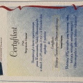 Powiększ obraz: certificate 8