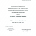 Powiększ obraz: certificate 7