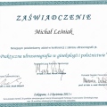 Powiększ obraz: certificate 11