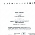 Powiększ obraz: certificate 13