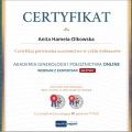 Powiększ obraz: certificate 33