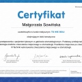 Powiększ obraz: certificate 6