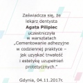 Powiększ obraz: certificate 7