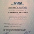 Powiększ obraz: certificate 8