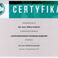 Powiększ obraz: certificate 5