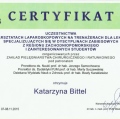 Powiększ obraz: certificate 5