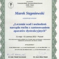 Powiększ obraz: certificate 29