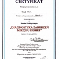 Powiększ obraz: certificate 43