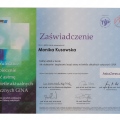 Powiększ obraz: certificate 11